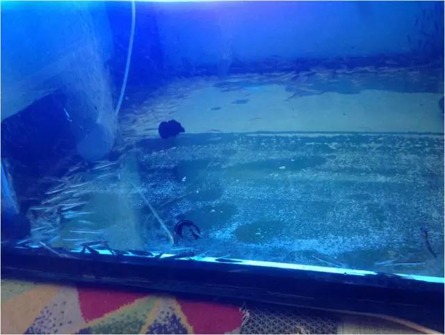 北京*妞小**的泰囧第二弹