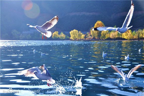 现在的古装剧都在哪里取景的,古装剧拍摄旅游地