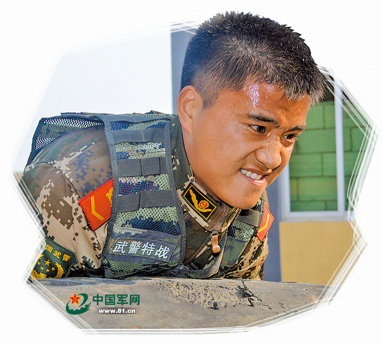 蓝狐突击队最新战斗,蓝狐反击和瓦尔迪