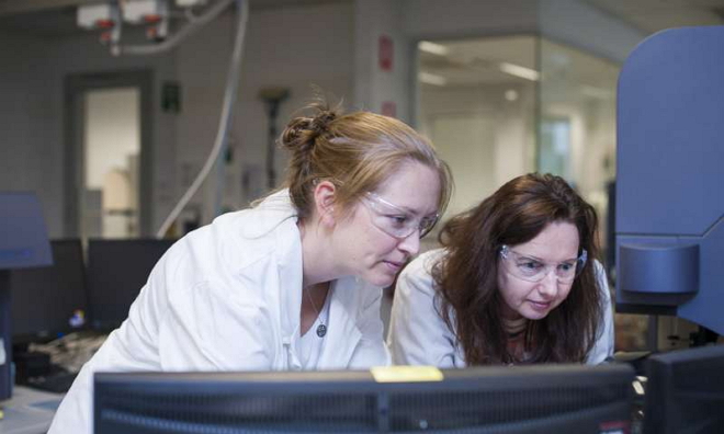 胃癌免疫治疗新进展,当代胃癌免疫治疗现状