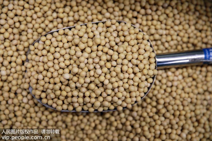 大豆异黄酮可以补充孕激素吗,大豆异黄酮帮女性安度更年期