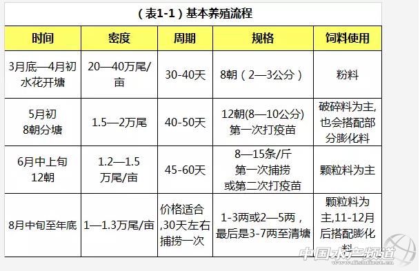 养殖草鱼的技术和视频,养殖草鱼的技术视频教程大全