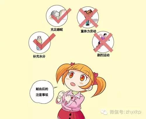 血液相连,献血基础知识大全