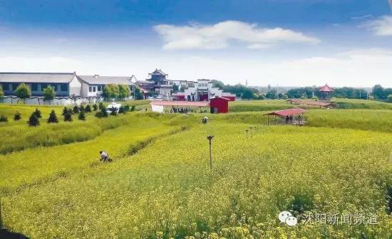 沈阳好玩的地方夏天推荐,沈阳夏天旅游推荐