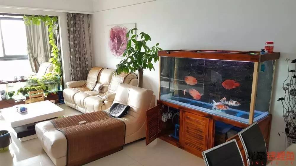 子母生态缸丨庭院深，深，深几许？