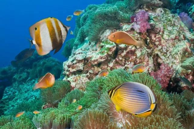 有生之年一定要去一次泰国,有生之年一定要去一次的景区