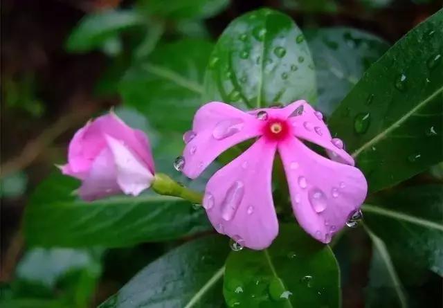 海口一座不需要滤镜的城市,海口一线海景