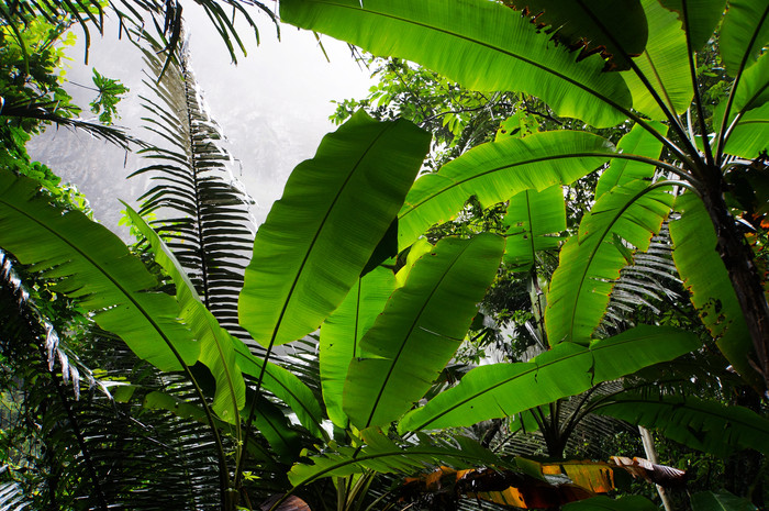 巴马世界旅居圣地,广西巴马长寿圣殿图片