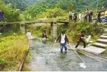 客家人捕鱼的视频,客家传统打鱼视频