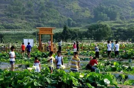 6月去江西旅游必去十大景点,八月江西旅游必去十大景点