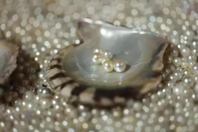 有质感的单品有哪些,一件高品质单品展现你的精致品位