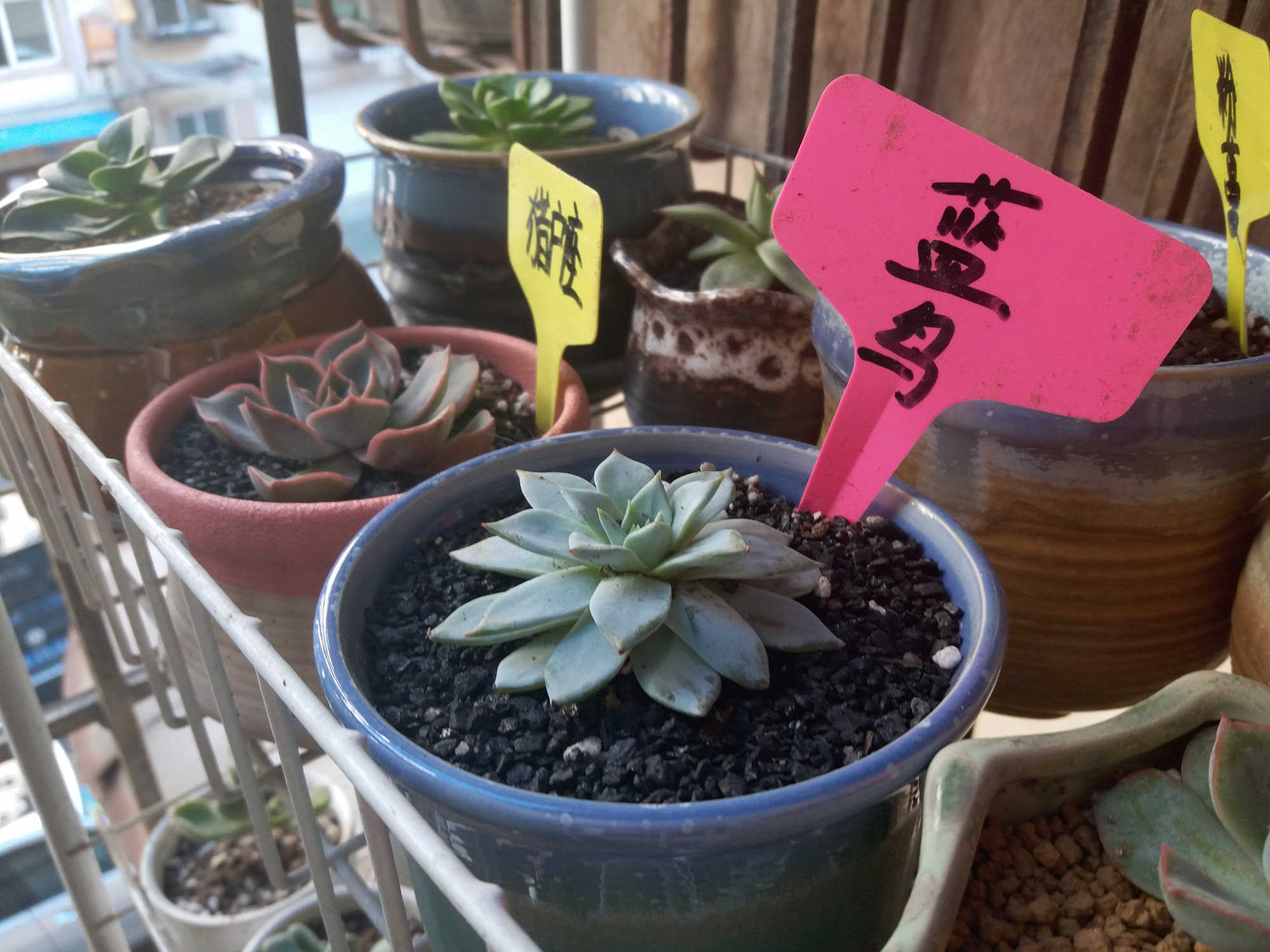 三星galaxyc5pro怎么样,三星galaxyc5可以用多久