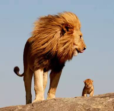 儿子给爸爸买的父亲节礼物,孩子给爸爸买的父亲节礼物