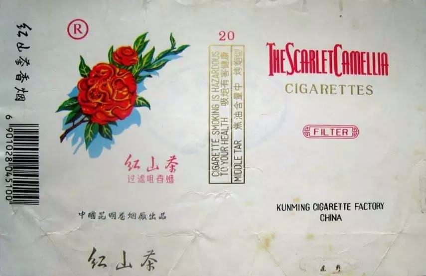 白金龙与阿诗玛,白金龙凤锦鲤生鱼宝宝