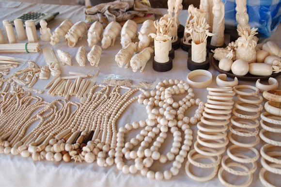 从“狗肉节”到非遗，有关动物使用的伦理困境比比皆是！