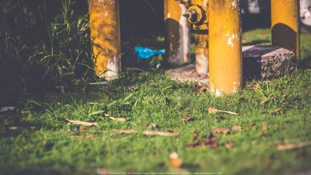 帕劳旅游景点视频,帕劳旅游真实生活