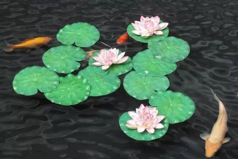 古诗中的鱼诗句,古诗鱼儿