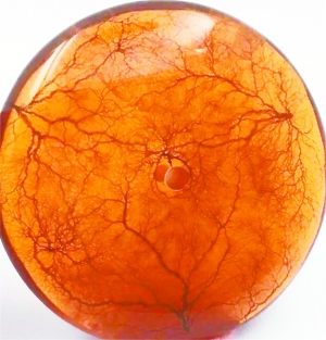 血蜜蜡的颜色是用钴60做的吗,琥珀蜜蜡价格内幕