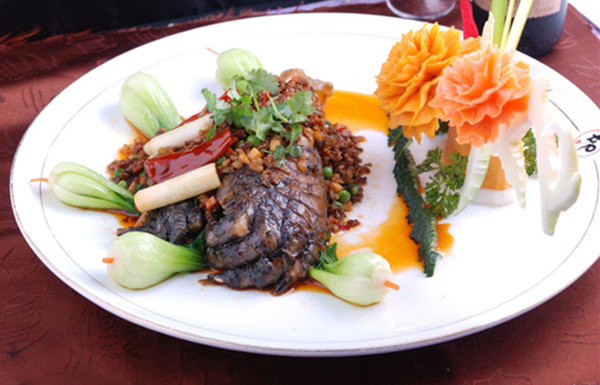 盘点鳄鱼的六大天敌都有哪个,盘点鳄鱼的十大天敌