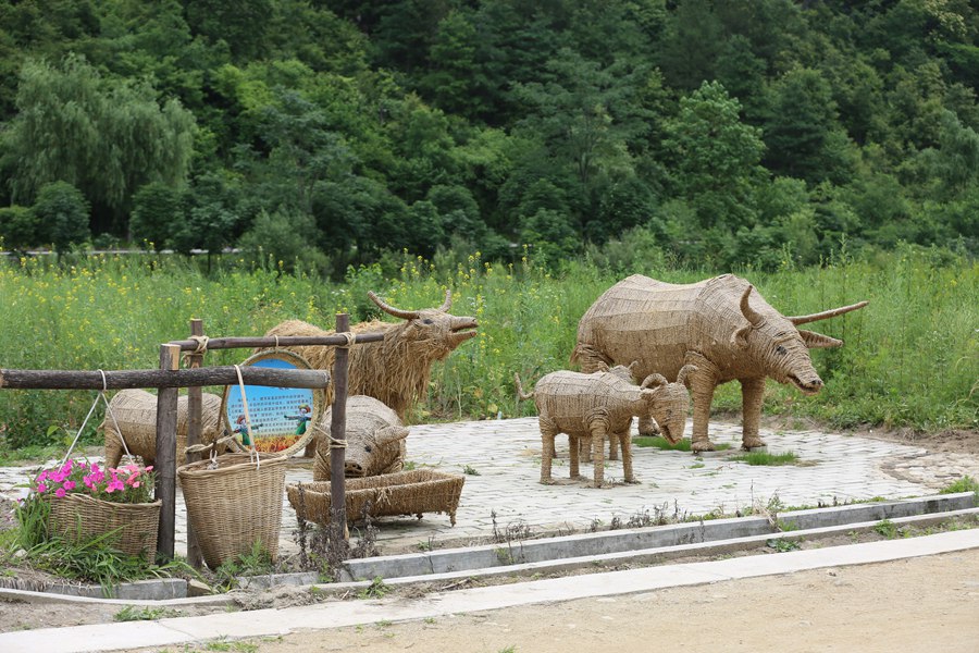 陕西旅游去哪儿玩,自驾游玩陕西
