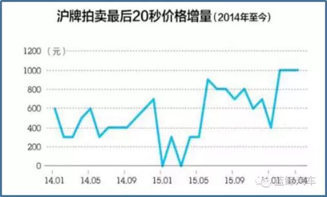 鲸点游玩攻略,鲸鲨一日游攻略