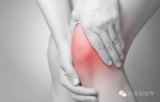 关于奥林匹克运动会的知识,奥林匹克运动会知识科普