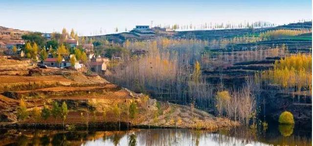 不能更赞：没想到你是这样的邹城