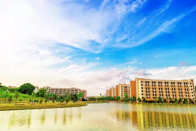 广东15所野鸡大学名单曝光,广东的野鸡大学有哪些