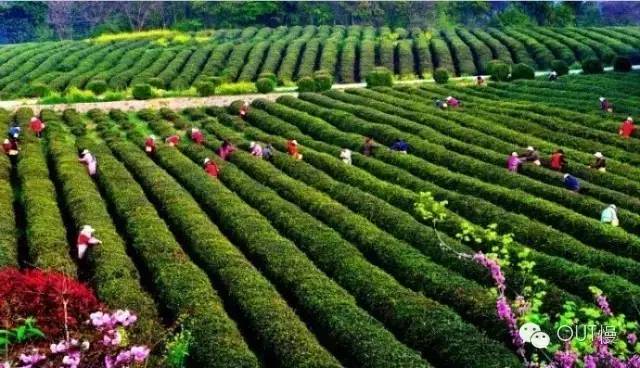 命苦！大南京最冤的一个区竟是它