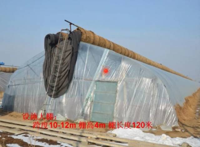 葡萄大棚材料哪里有,葡萄大棚都有什么配件