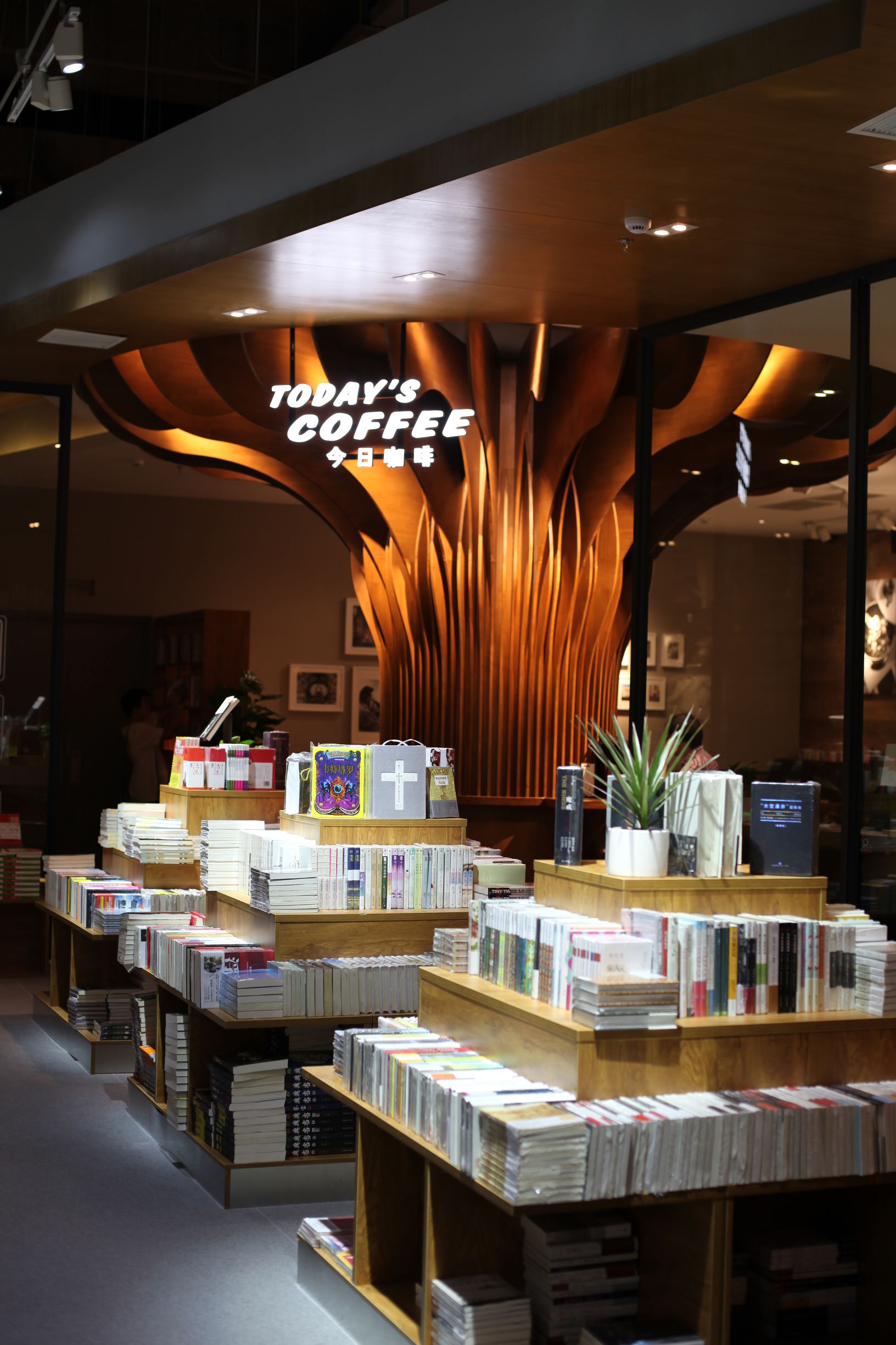 新手如何开实体书店,怎样开书店经营新模式