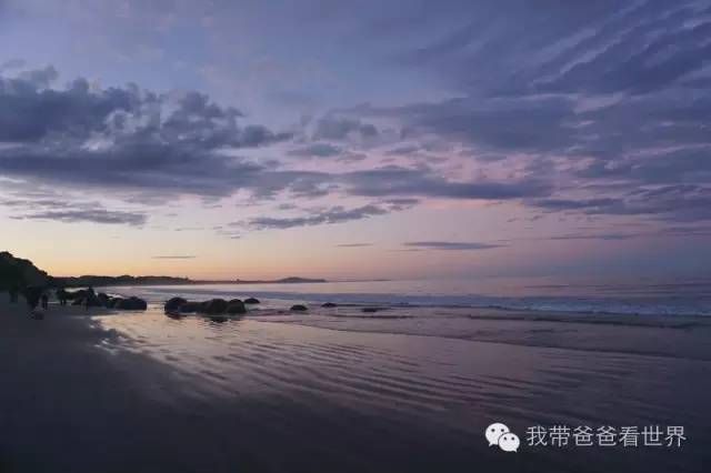 新西兰奇异圆石,摩拉基大圆石龟背形成原因