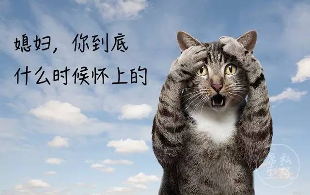 亲兄弟明算账之后闹掰了,puma和阿迪达斯哪个更好