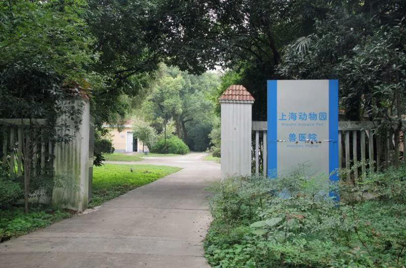 阿拉看宁波,阿拉看荷花