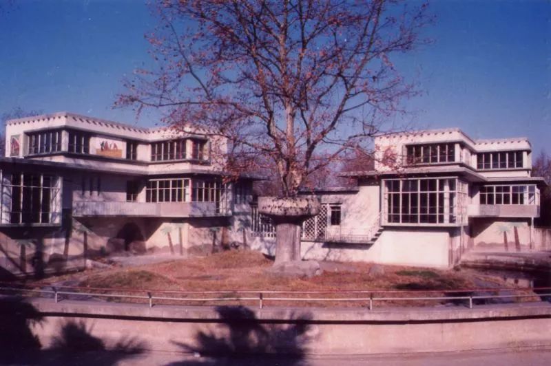 阿拉看宁波,阿拉看荷花