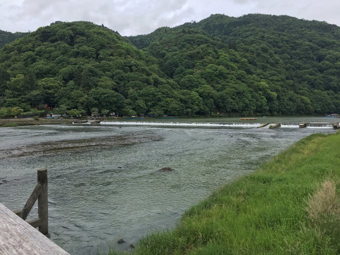 年假连端午，二次进日，关西8日游：京都、岚山（嵯峨野观光小火车、岚电）、奈良、环球影城