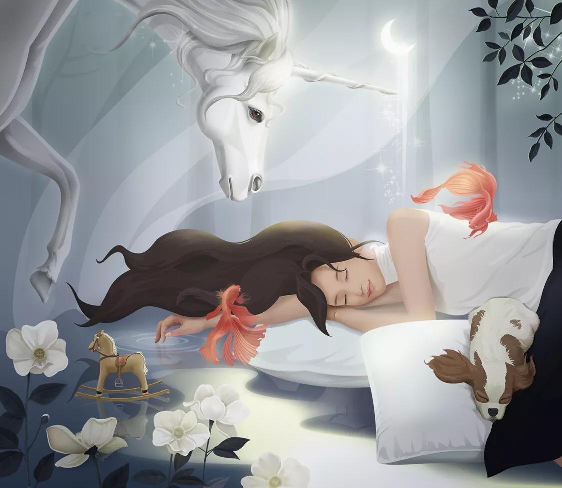 每个人都做梦,每个人都梦到的梦境