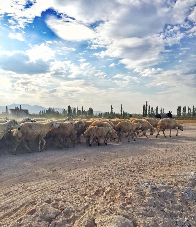 土耳其颜色风格,土耳其色调