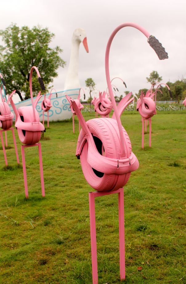 2020崇明花卉博览会,崇明花博会郁金香