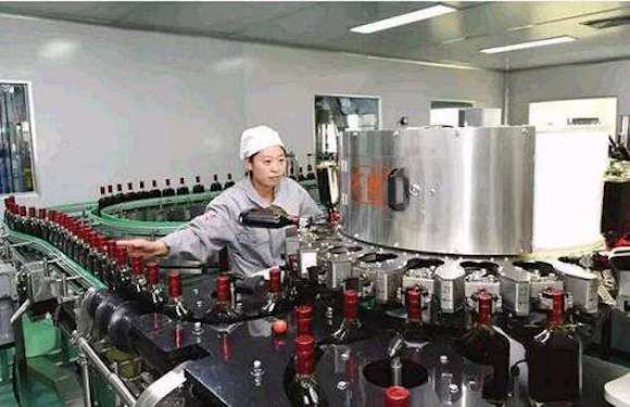 鸿茅药酒多少钱一瓶,鸿茅药酒的深度解析