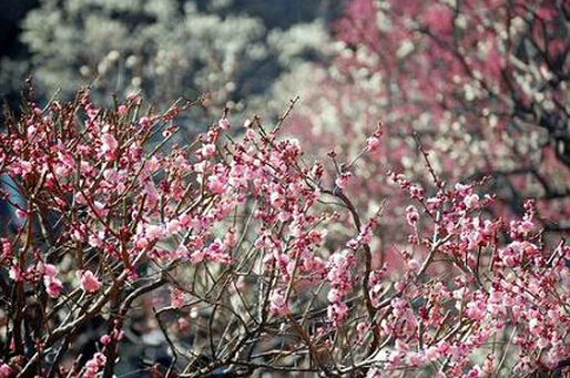 荣登纽约时报榜,贵州旅游必去top20