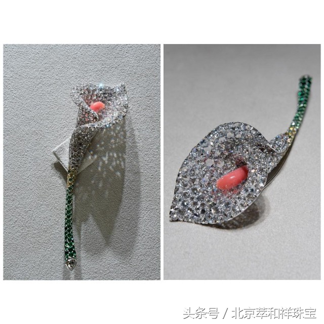 珍珠之王的前世今生南洋金珠,mikimoto珍珠是代加工吗