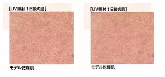 ipsa保湿护肤品,ipsa护肤方法