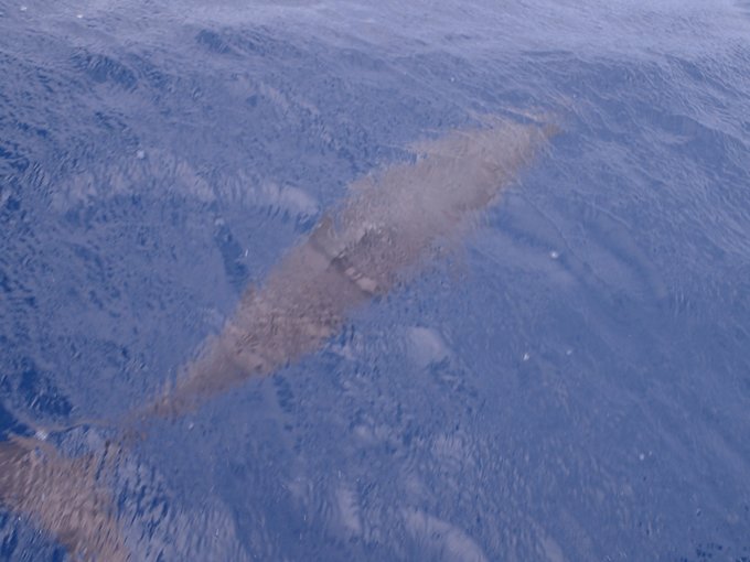 马尔代夫自由行七日游人均两万,马尔代夫一个人3天旅游费用