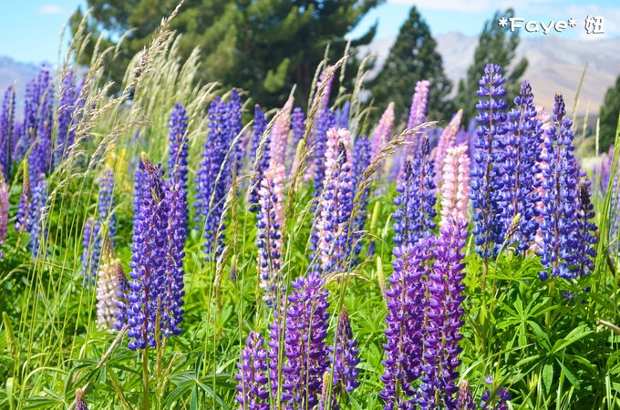 趁年轻我们一起去旅行吧,趁年轻我们一起去旅行