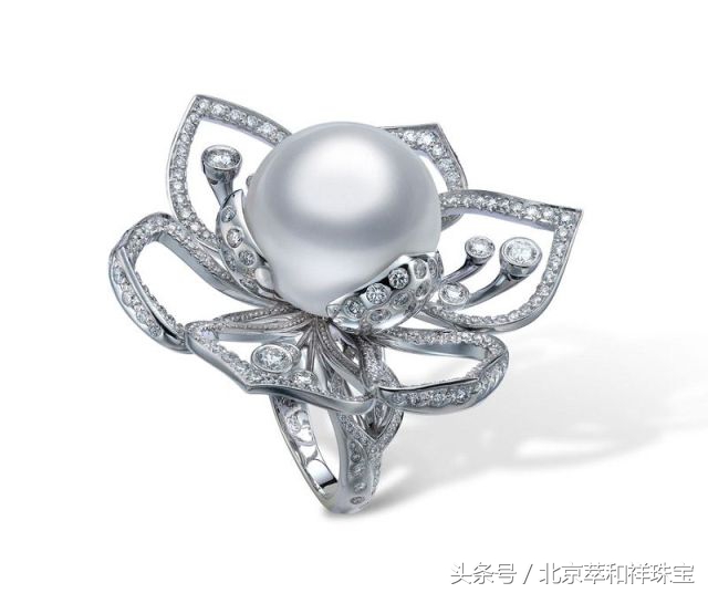 珍珠之王的前世今生南洋金珠,mikimoto珍珠是代加工吗