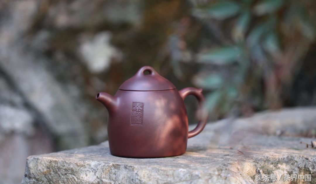 老茶客都钟爱这6件茶具,几款必入的紫砂壶型