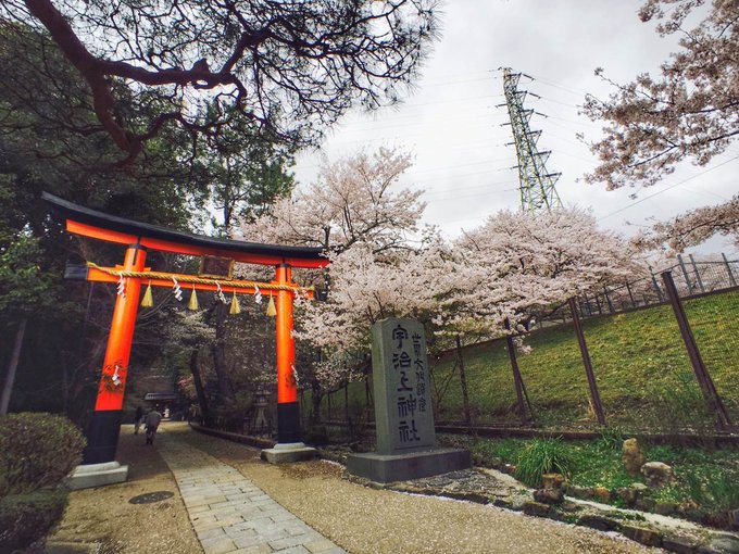 2010日本之旅,2009年日本四巡