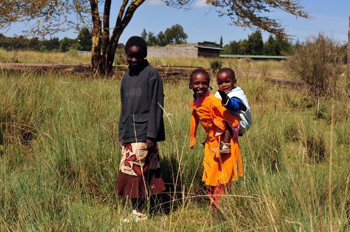 肯尼亚5天难忘的野生动物园,肯尼亚野生动物之旅