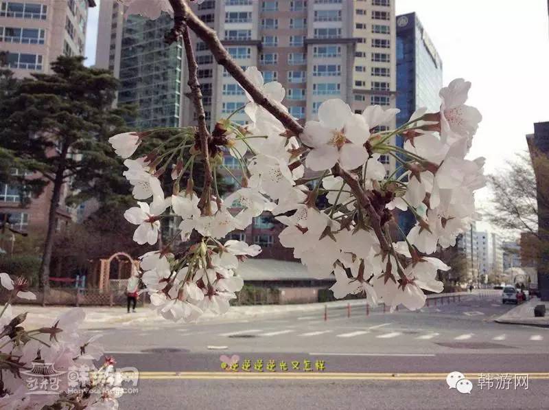 闺蜜两个去超市买零食吃,闺蜜两人闯天下